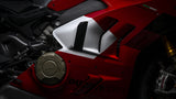 Panigale V4 R
