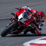 Panigale V4 R