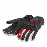 Gants Sport C4