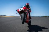 Panigale V4 R